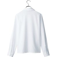 チクマ ブラウス リボン付き（長袖） AR1480-1-11（直送品）