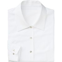 チクマ ブラウス（長袖） AR1454-1-5（直送品）