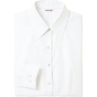 チクマ ブラウス（長袖） AR1451-1-7（直送品）