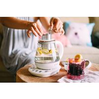 アントレックス BUYDEEM 薬膳ティ-ポット 1.0L 4992831951018 1個