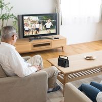 サンワダイレクト テレビスピーカー(ワイヤレス・テレビ用・手元スピーカー・充電式・最大30m・ブラック) 400-SP083BK 1個（直送品）
