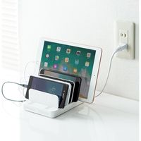 サンワダイレクト 充電器ステーション（USB充電器・スマホ・タブレット対応・最大9.6A/60W・6ポート搭載） 700-AC020W 1個（直送品）