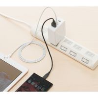 サンワダイレクト USB充電器（3ポート・合計4.8A・スマホ充電器・出張・旅行・コンパクトサイズ） 700-AC022W 1個（直送品）