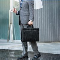 サンワダイレクト ビジネスバッグ（メンズ・耐水加工・2WAYショルダー・A4収納） 200-BAG067WP 1個（直送品）