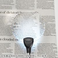 サンワダイレクト スタンドルーペ（拡大鏡・LEDライト付・クリップ対応・レンズ径11cm・クリップ付アーム付属） 400-LPE016 1個（直送品）