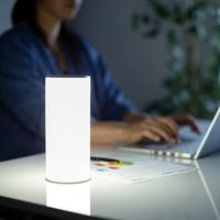 サンワダイレクト LEDライト(ランタン・6段階調整・充電式・タッチパネル・昼白色・電球色・リバーシブル) 800-LED025 1本（直送品）