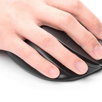 サンワダイレクト 静音マウス（有線・エルゴノミクス・人間工学・中型・DPI切替・ガンメタリック） 400-MA111GM 1個（直送品）