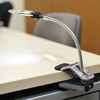 サンワダイレクト LEDライト付き拡大鏡(クリップ対応) 400-CAM019 1個（直送品）