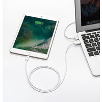 サンワダイレクト ライトニングUSBケーブル（Apple MFi認証品・充電・同期・1m・ホワイト） 500-IPLM011WK 1本（直送品）