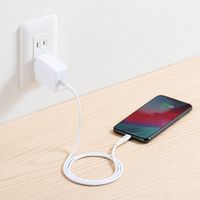 Lightningケーブル　1m　PD充電対応（100W）　500-IPLM025W　サンワサプライ　1本（直送品）