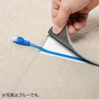 サンワダイレクト Cat6 フラットLANケーブル 5m （カテゴリー6・より線・ストレート・ホワイト） 500-LAN6FL05W 1本（直送品）