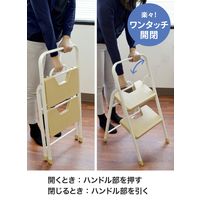 シービージャパン フォールディングステップ 2段 ブラウン 4582106471442 1個