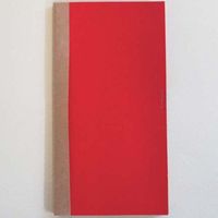 プリントインフォームジャパン ふせんの手帖 [表紙：レッド] 1179-0002-0570 1セット（2個）（直送品）