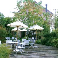 【ギフト・手土産3箱セット】CHOUCHOU シュシュスイーツギフトA CCG-10-3 1セット（詰め合わせ×3箱）（直送品）