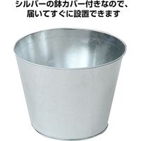 キシマ フェイクグリーン サンスベリア BK-7038（直送品）