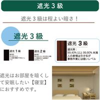 【規格品】遮光ロールスクリーン 幅60×高180cm（グリーン） 4975559789774 1セット トーソー（直送品）