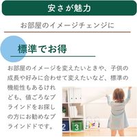 【規格品】ロールスクリーン 幅60×高180cm（グリーン） 4975559789217 1セット トーソー（直送品）