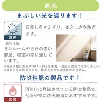 【幅1cm単位】プロ仕様「遮光」ロールスクリーン幅150cm×高10～80cm＜チェーン式＞ tr4512-150x80-r65 トーソー（直送品）