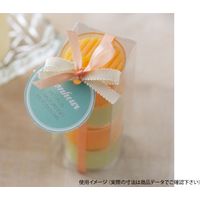 大森 ラッピング用品 ピュアケース PN8-1 260801 500枚（直送品）