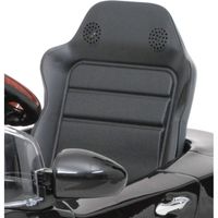 ミズタニ 新型レクサスLS600hL電動SLブラック 4985404080215（直送品）