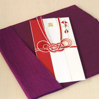 学研ステイフル THE2TONE金封（赤あわじ結び） E45045 6枚（直送品）