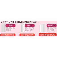 ライオン事務器 フラットファイルAXー516Sー10P 10290 1冊