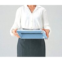 ライオン事務器 ボックスファイル BFー632D(G) 11917 1セット(3冊)