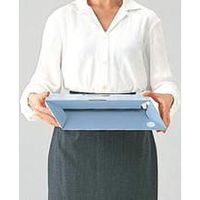 ライオン事務器 ボツクスファイル BFー432D(Y) 11993 1セット(3冊)