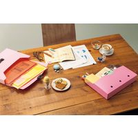 ライオン事務器 ダブルポケットホルダー ミルクティー(MT) WP-123 13704 1セット(3冊)