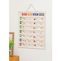 ナカバヤシ お薬カレンダー Mサイズ 7段4列 壁掛け IF-3011 1個