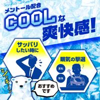 白元アース アイスノン 極冷え洗顔シート 1個（20枚×2パック入） 02472-0