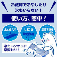 アイスノン 極冷えタオル 白元アース ブルー 1枚 冷感タオル ひんやりグッズ 繰り返し 水で濡らす