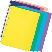 リヒトラブ CUBE FIZZ イージーチェンジ・クリヤーブック A4S 30穴 10枚ポケット ピンク N6482-12 1セット(1冊×2)