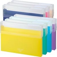 リヒトラブ CUBE FIZZ コングレスケース A4 不透明タイプ ピンク A6024-12 2冊