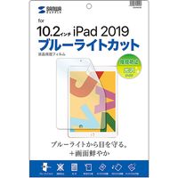 サンワサプライ Apple 第7世代iPad10.2インチ用ブルーライトカット液晶保護指紋防止光沢フィルム LCD-IPAD12BC 1枚