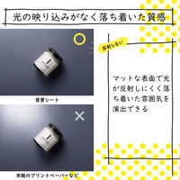エレコム 撮影用背景シート/MONOTONE/A3/6枚入 DGA-BPA301 1セット(6枚入)