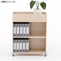 【車上渡し】アール・エフ・ヤマカワ プランターシェルフ 幅801×奥行350×高さ1009mm ナチュラル RFPLS-NW 1台（直送品）