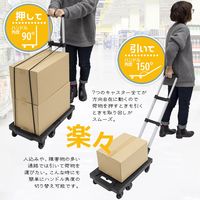サンケーキコム 軽量折り畳みキャリーカート 固定ゴム紐付 耐荷重150kg CC-150-BK（直送品）