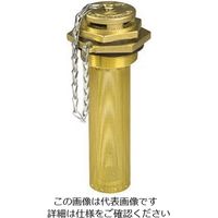 エスコ 2”NPT ドラム缶空気弁 EA991JG-2 1個（直送品）