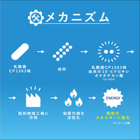 【機能性表示食品】アサヒ飲料 カルピス ラクトスマート 100ml 1セット（60本）