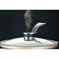 【ギフト包装】 ビストーニ 真空煮込み鍋（19cm） ビストーニ MA-9594（直送品）