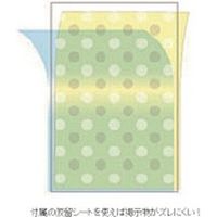 アートプリントジャパン フェイスファイブフレーム クリア A3 0030736701（直送品）