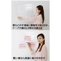 コーワライティングシート 12枚入り 白 1本（12シート入） 光和インターナショナル（わけあり品）