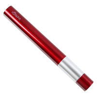 アイオニック 携帯用電動歯ブラシ イオンパ IONPA 赤 替えブラシ2本付 乾電池式 DM-011RD 1台