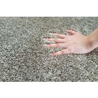 スミノエ BIG SIZE RUG イルミエ ラグ 防炎 アレルブロック 2000×2000mm チャコール 4549781206592 1枚（直送品）