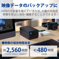 HDD 外付け 16TB 据え置き 5年保証 2big RAID USB-C STHJ16000800 LaCie 1個（直送品）