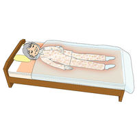 シンエイテクノ ゼオシーター ブラウン S SZ 1枚 62-1631-56（直送品）