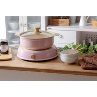 アイリスオーヤマ パーティーIHコンロ鍋セット ricopa IHLP-R14-PA（562086）（直送品）