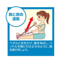 富士商 シェイプアップトレーナー パープル F4396 1個 63-3000-34（直送品）