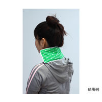 富士商 ホット&クールパッド Sサイズ グリーン F9865 1個 63-3000-35（直送品）